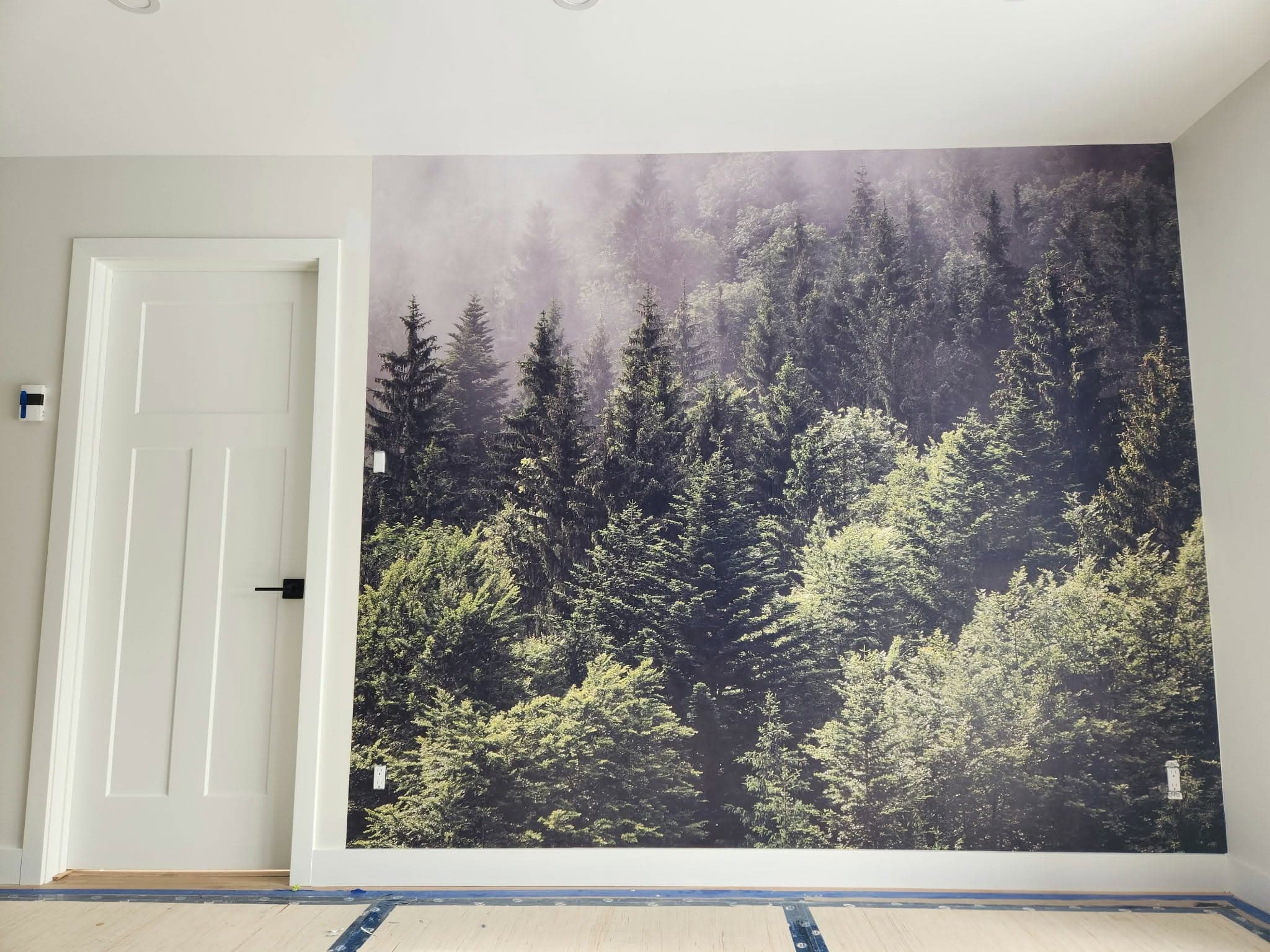 Papier peint panoramique d'une forêt de conifères dans la brume, posé sur un mur entier